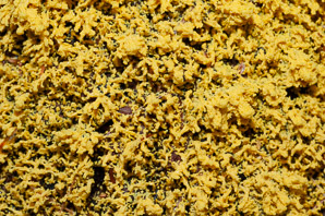 Fuligo septica (slime mold)
